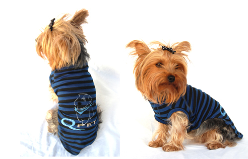 Designer dog t-shirt blue black & QPet logo