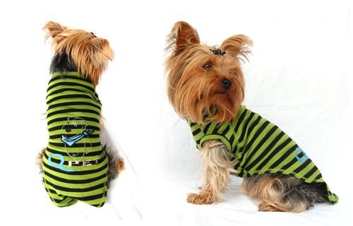 Designer dog t-shirt w/QPet logo - green w/black