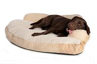 Corner Bolster Dog Bed