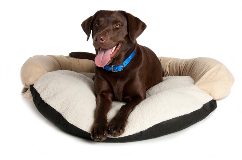 Round bolster dog bed