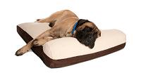 Great Paw Serenity Memory Foam Orthopedic Dog Bed with pillow