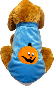 Blue Dog Dress w/pumpkin