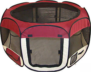 Fenced pet dog play yard - maroon