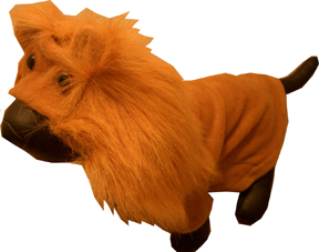 Lion King dress costume for dog/pet